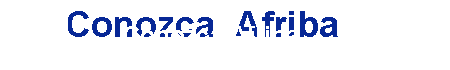 Conozca Afrisa